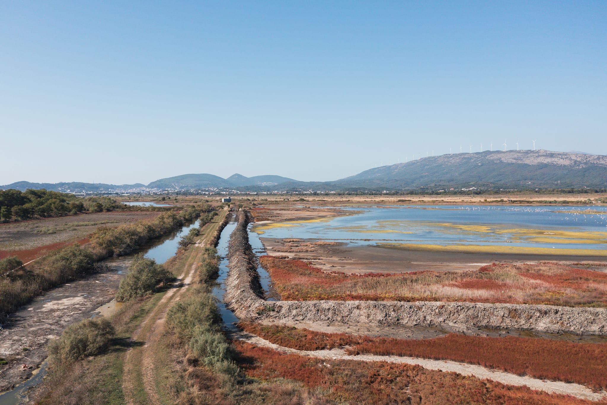 newest-news-post-image